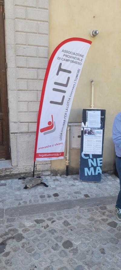 Continua la collaborazione LILT CAMPOBASSO e MOLISE CINEMA